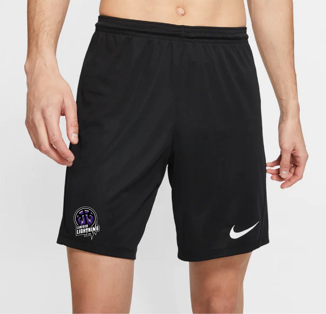 Men's Nike Dri-FIT Domestic Shorts (Lakeside Lightning)